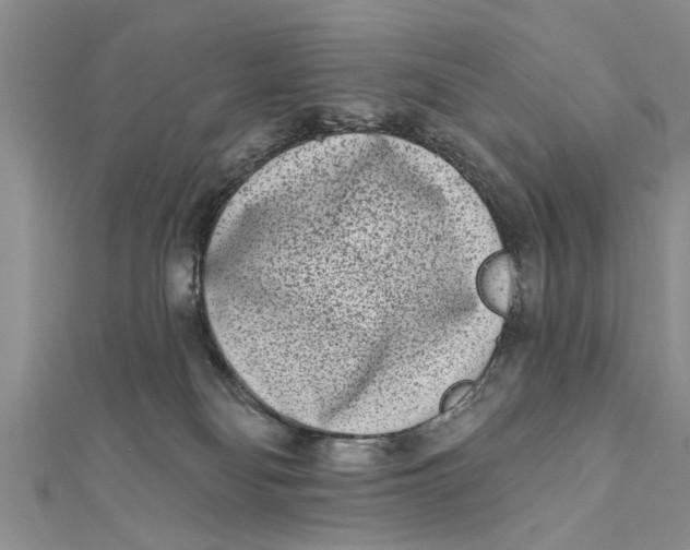 X0000112180134200908281410