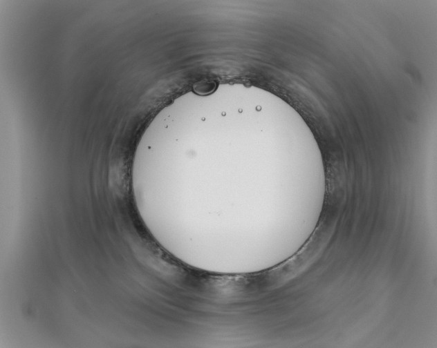 X0000112180136200908281410