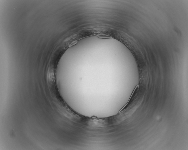 X0000112180137200908281410