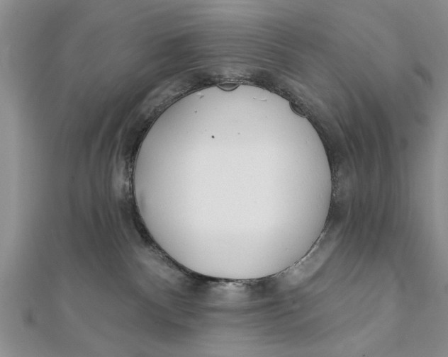 X0000112180140200908281410