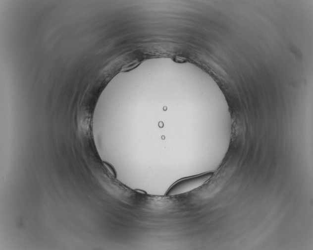 X0000112180141200908281410