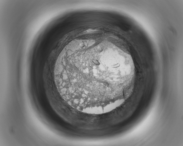 X0000112180143200908281410