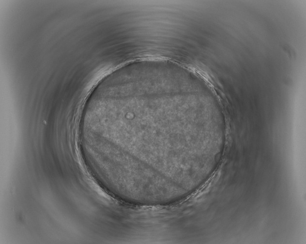 X0000112180145200908281409