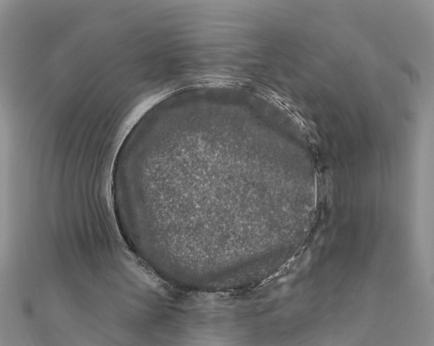 X0000112180147200908281409