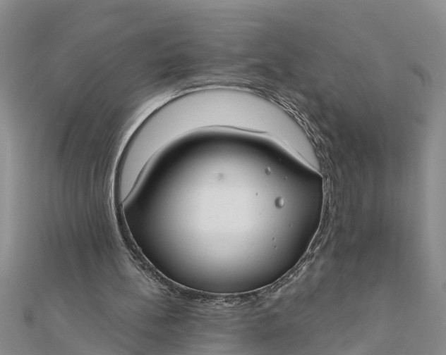 X0000112180148200908281409