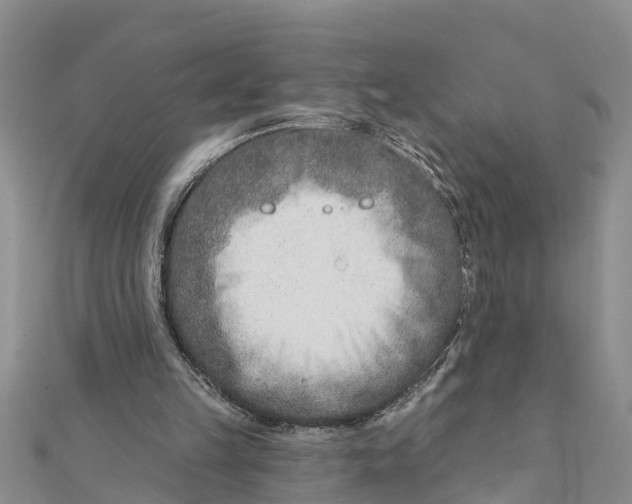 X0000112180149200908281409