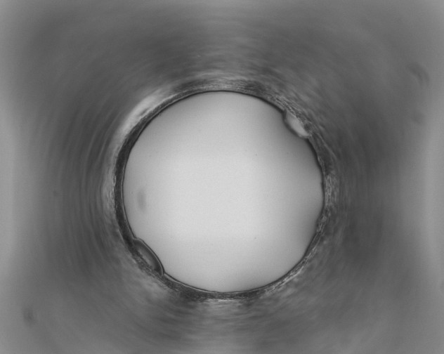 X0000112180150200908281409