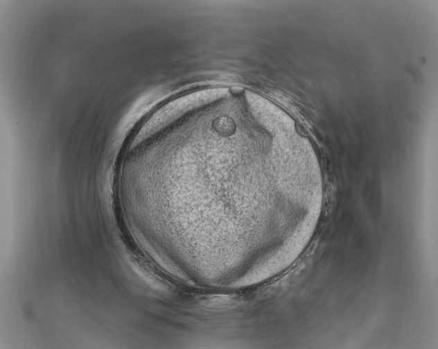 X0000112180151200908281409