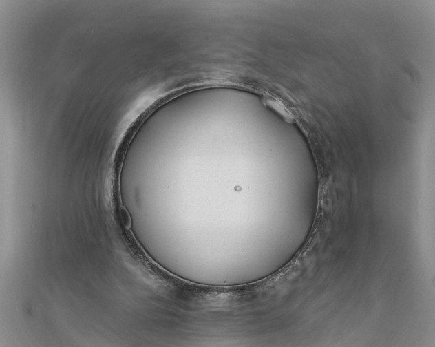 X0000112180152200908281409