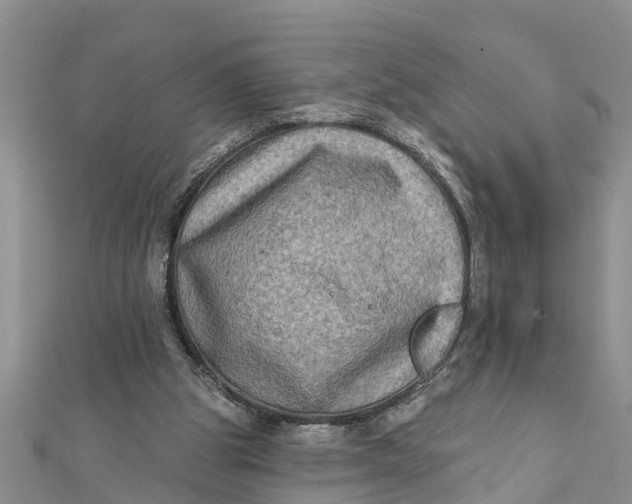 X0000112180153200908281409