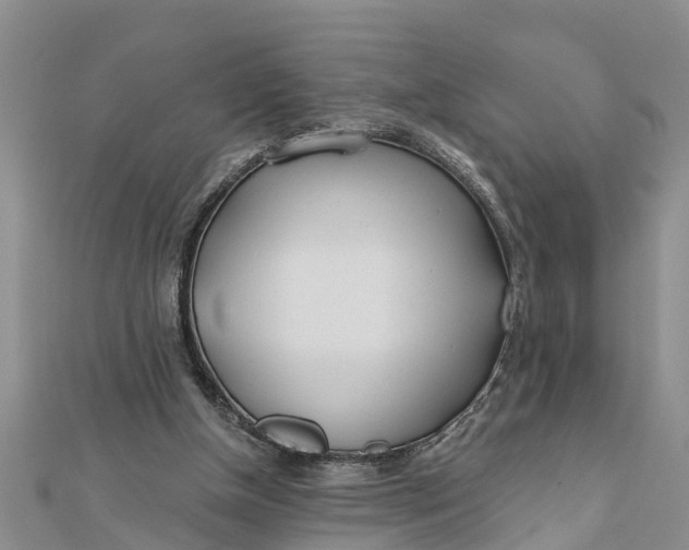 X0000112180154200908281409