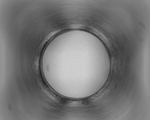 X0000112180155200908281409