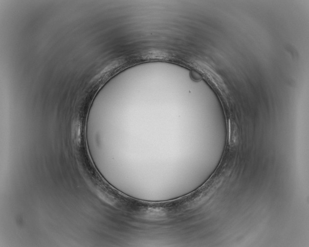 X0000112180157200908281409