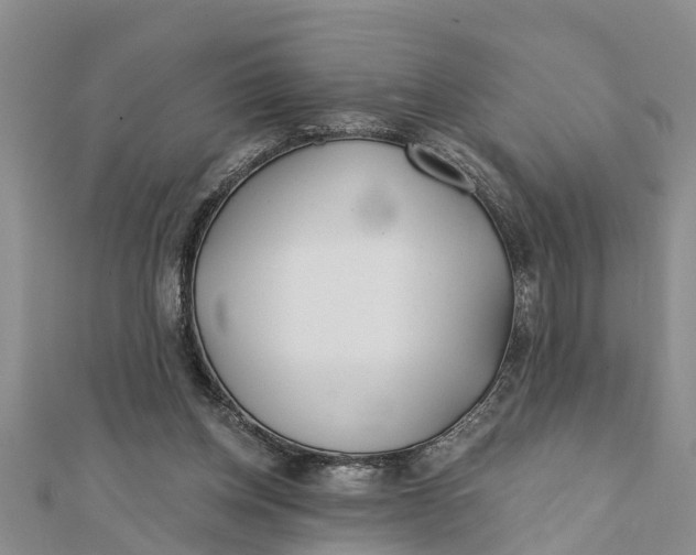 X0000112180158200908281409