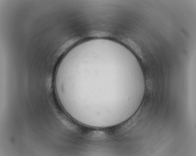 X0000112180159200908281409