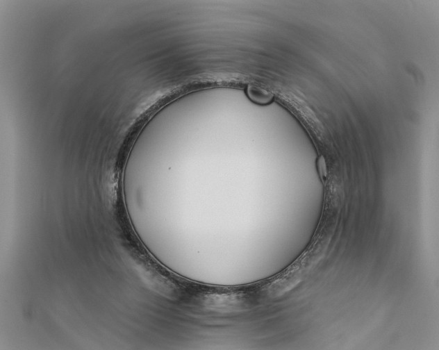 X0000112180160200908281409