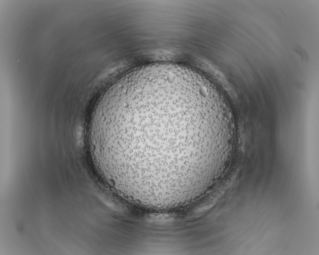 X0000112180161200908281409