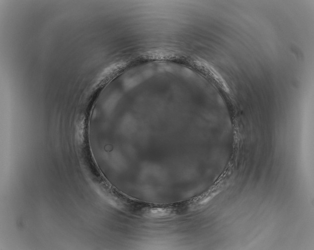 X0000112180163200908281409