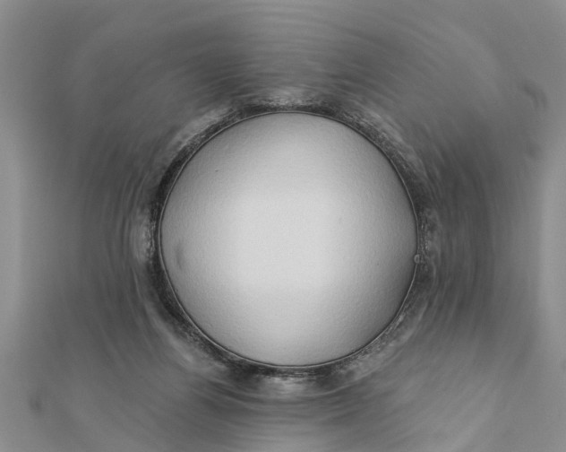 X0000112180164200908281409