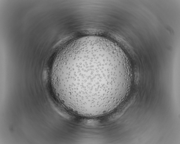 X0000112180165200908281409