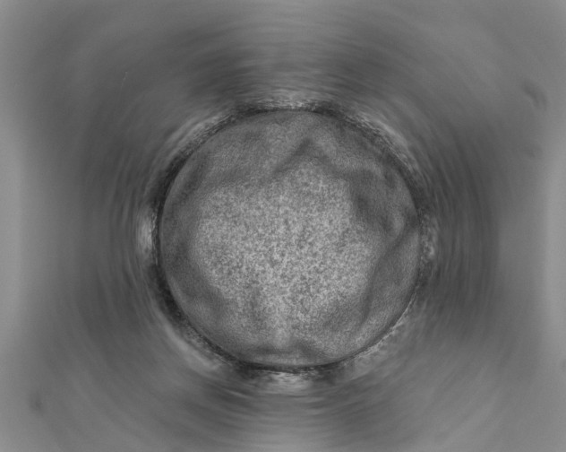 X0000112180166200908281409