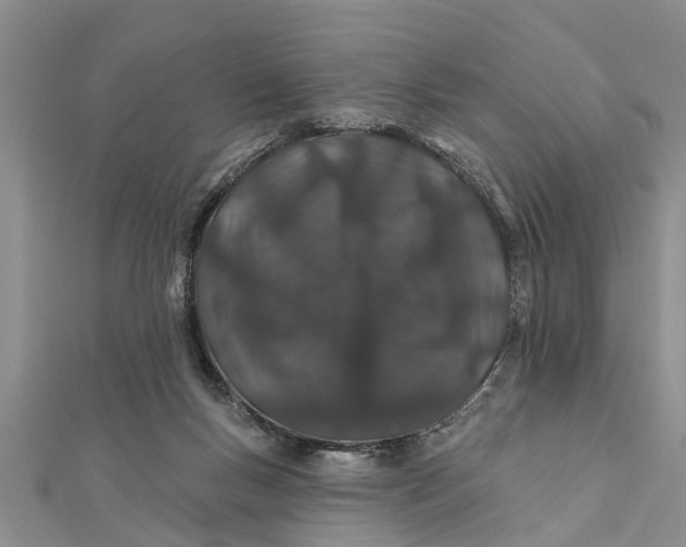 X0000112180167200908281409