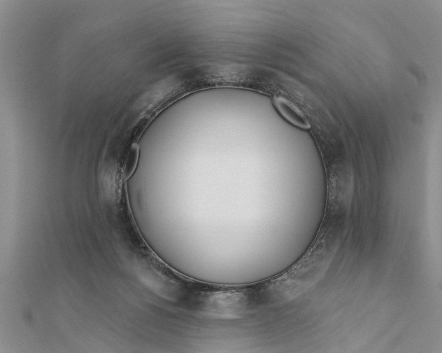 X0000112180168200908281409