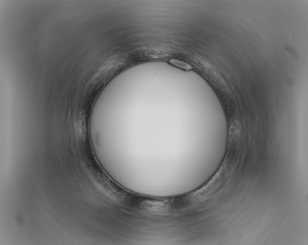 X0000112180170200908281409