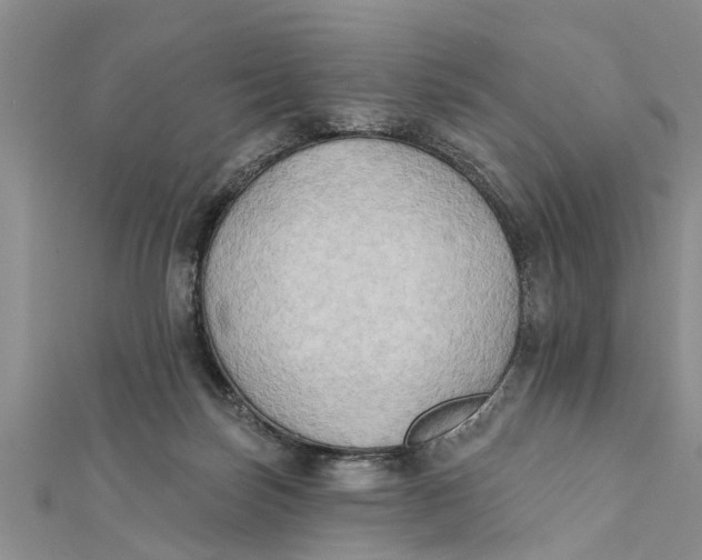 X0000112180171200908281409