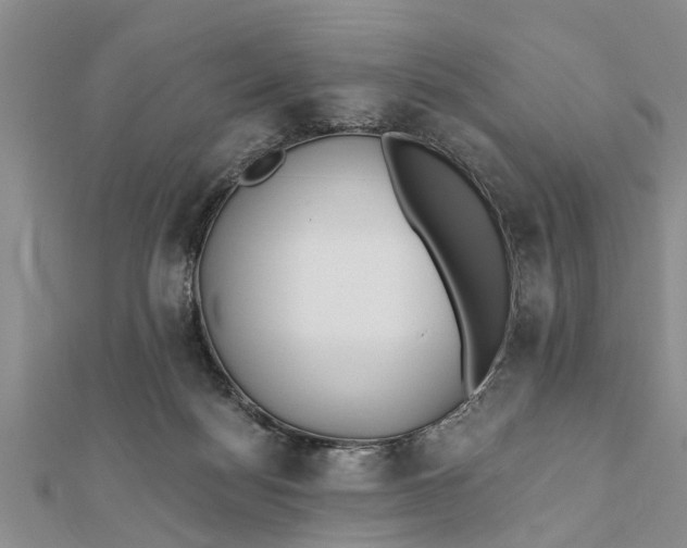 X0000112180172200908281409