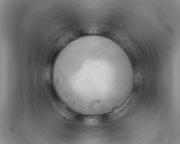 X0000112180175200908281409