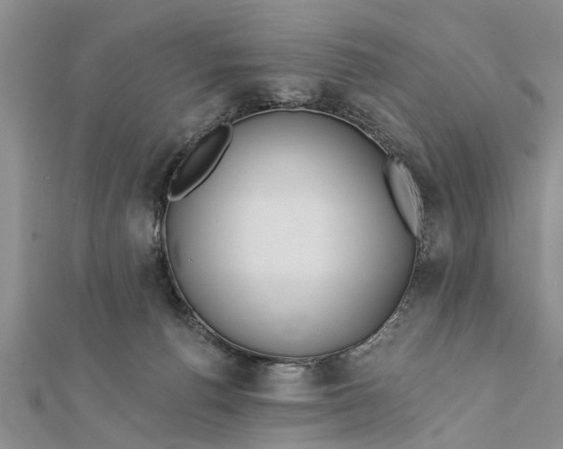 X0000112180176200908281409