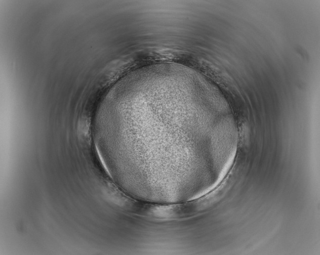 X0000112180178200908281409