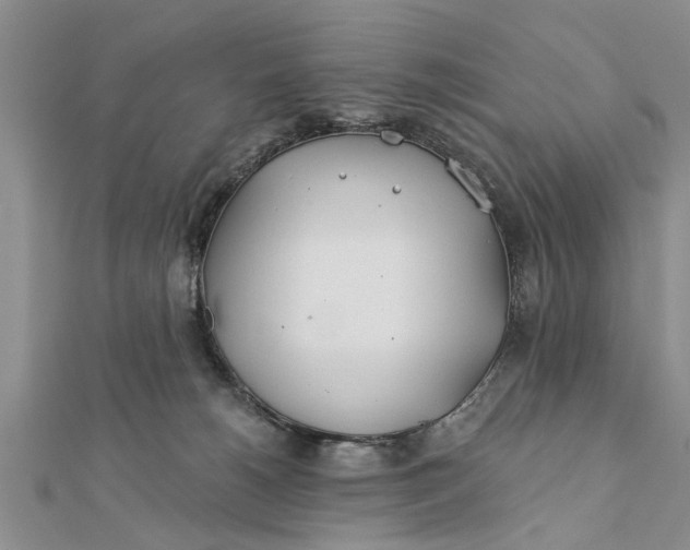 X0000112180180200908281409