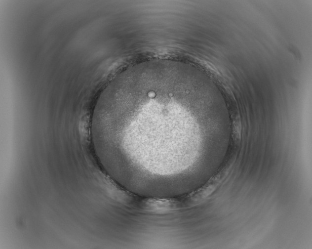 X0000112180181200908281409