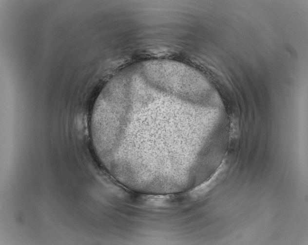 X0000112180182200908281410