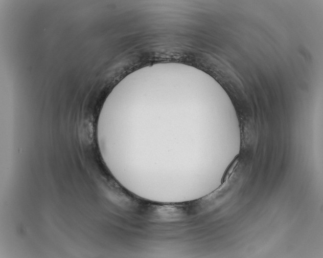 X0000112180183200908281410