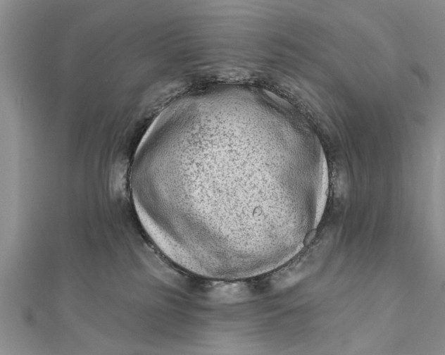 X0000112180185200908281410