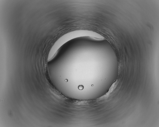 X0000112180186200908281410