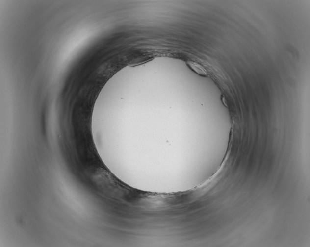 X0000112180190200908281410