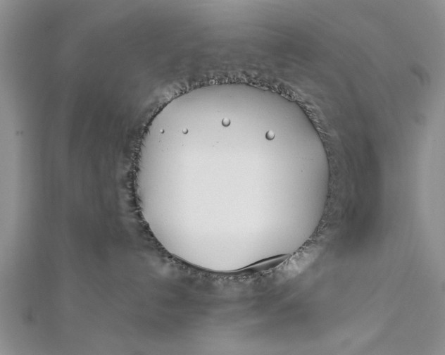 X0000112180192200908281410