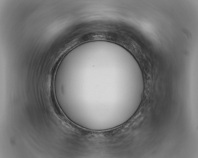 X0000112180194200908281409