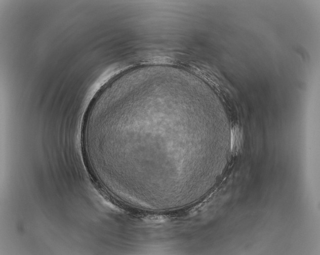 X0000112180195200908281409