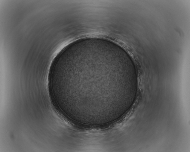 X0000112180196200908281409