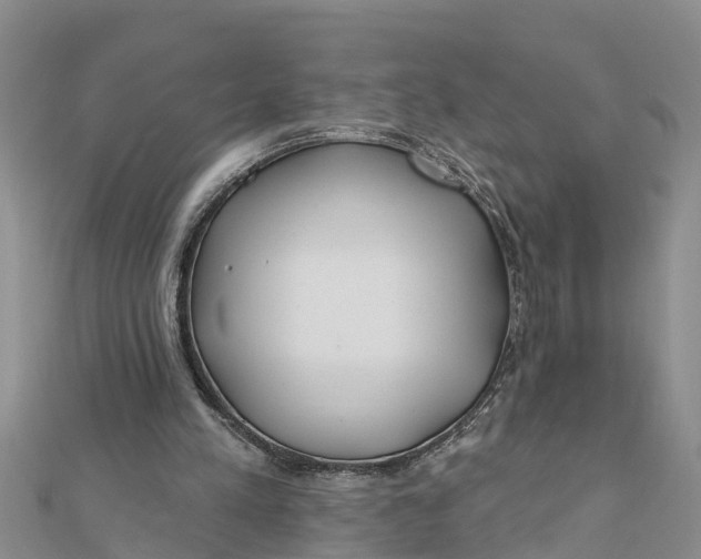 X0000112180197200908281409