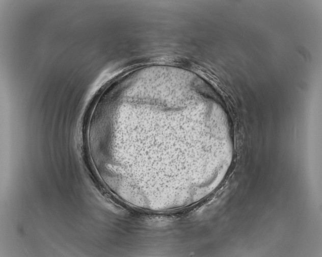 X0000112180198200908281409