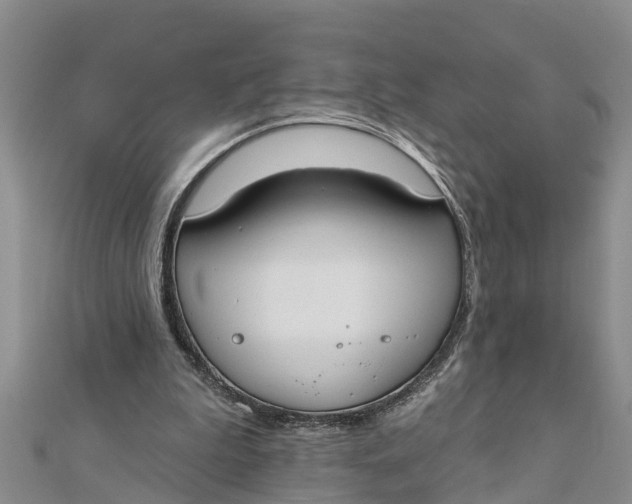 X0000112180199200908281409