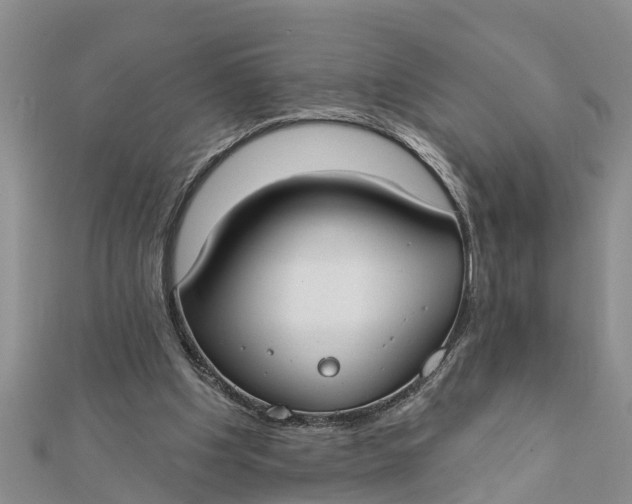 X0000112180201200908281409