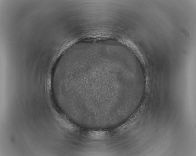 X0000112180202200908281409