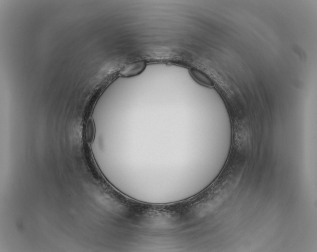 X0000112180207200908281409